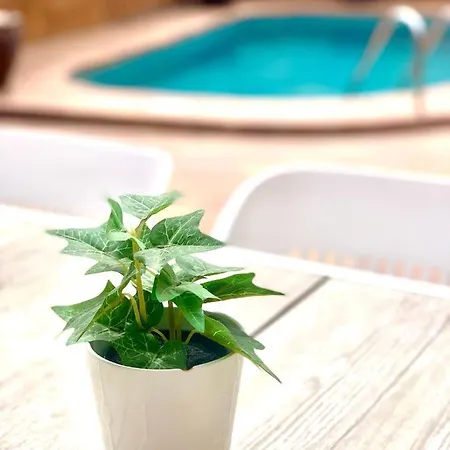 Your Holidays - Sta Mónica - *